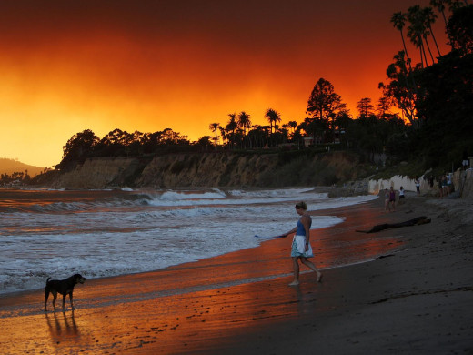 41961 (a): :1600x1200